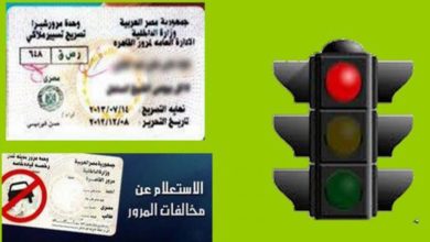 مخالفات المرور في مصر برقم السيارة